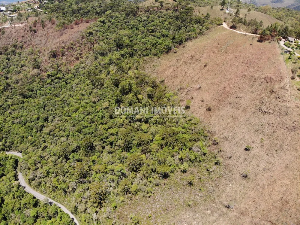 Terreno, 4 hectares - Foto 8