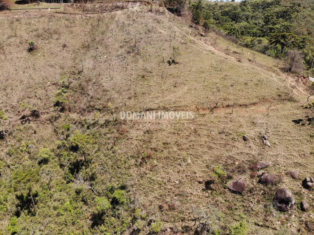 Terreno, 4 hectares - Foto 3