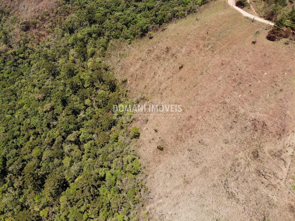 Terreno, 4 hectares - Foto 2
