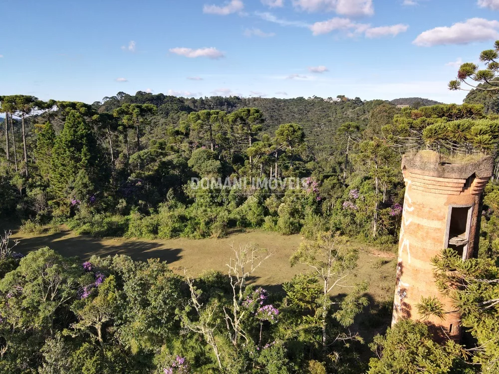 Terreno à venda - Foto 4