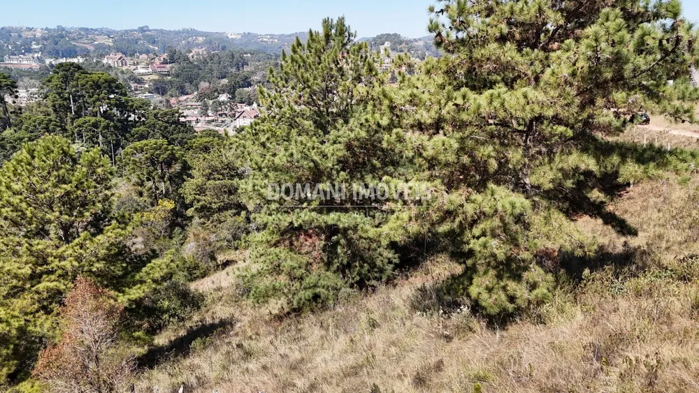 Terreno, 1270 m² - Foto 12