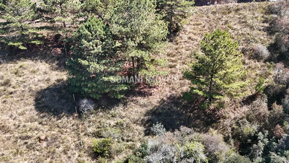 Terreno, 1270 m² - Foto 5