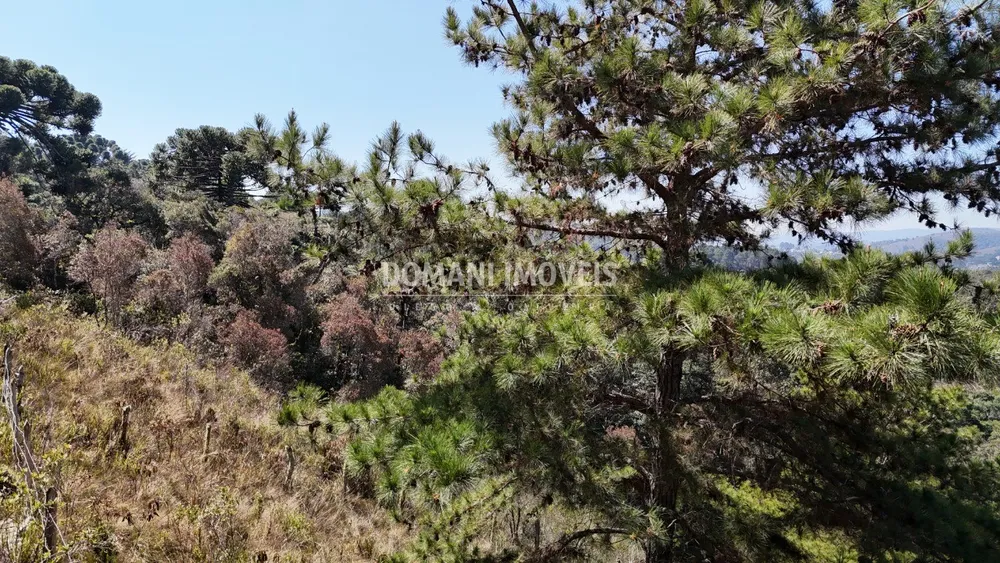 Terreno, 1270 m² - Foto 8