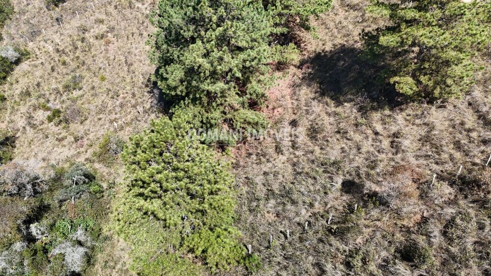 Terreno, 1270 m² - Foto 2
