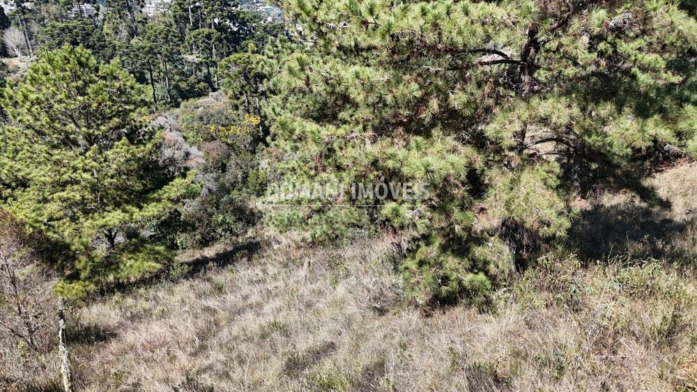 Terreno, 1270 m² - Foto 4