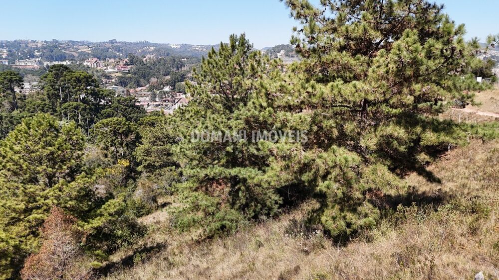 Terreno, 1270 m² - Foto 1