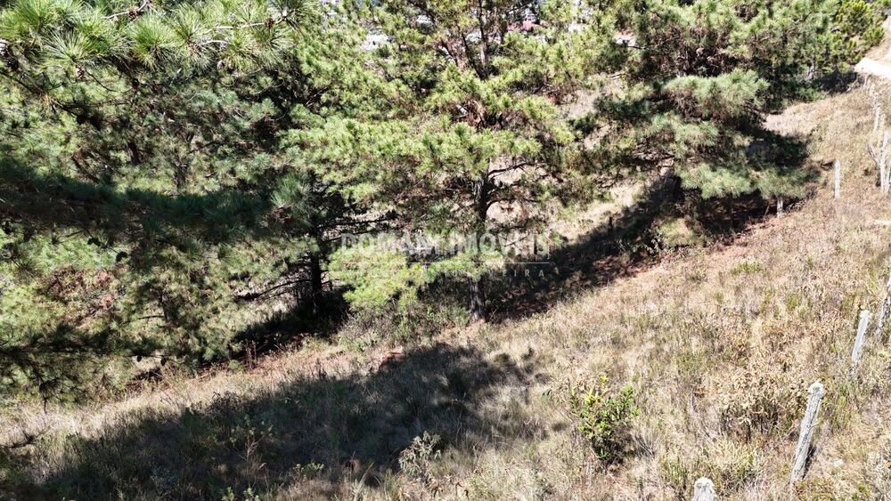Terreno, 1270 m² - Foto 3