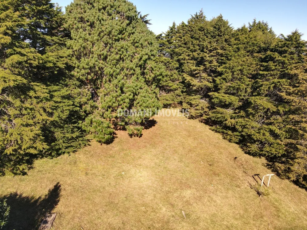 Terreno, 1170 m² - Foto 4