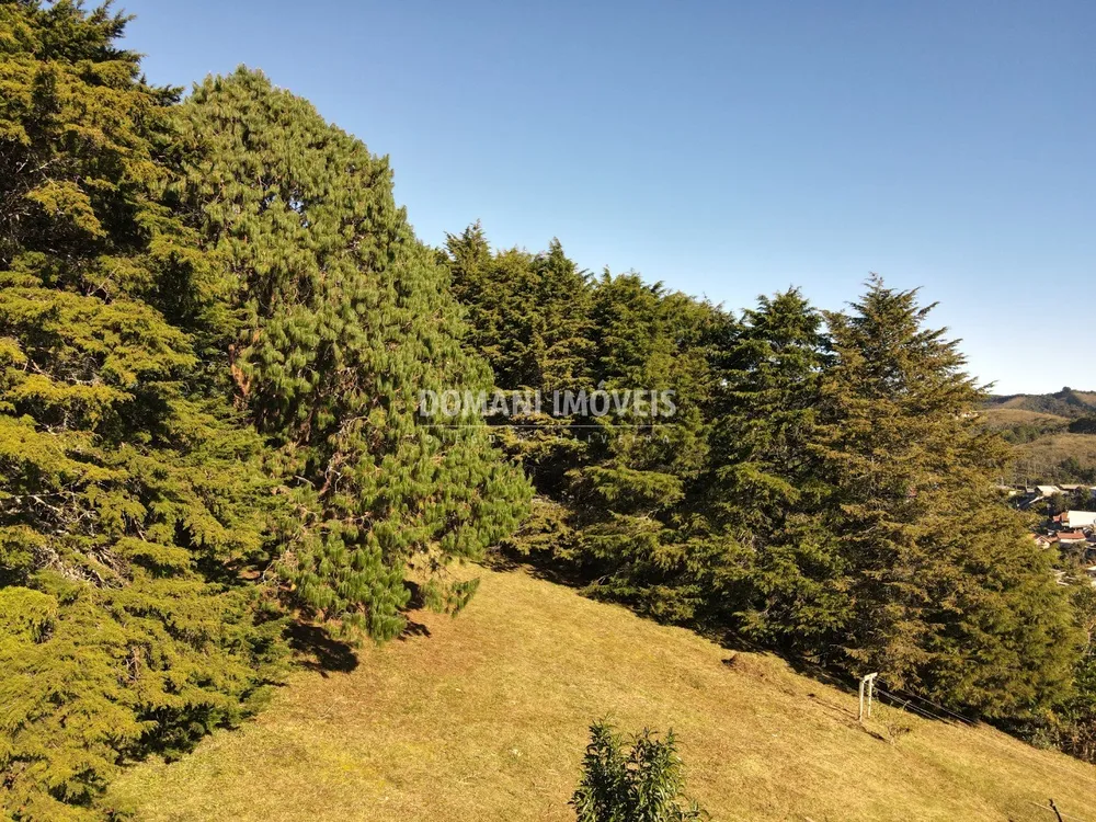 Terreno, 1170 m² - Foto 3