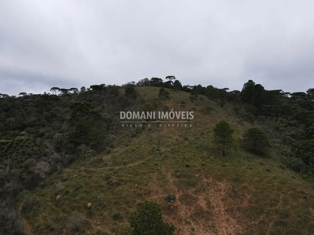Terreno, 12 hectares - Foto 10