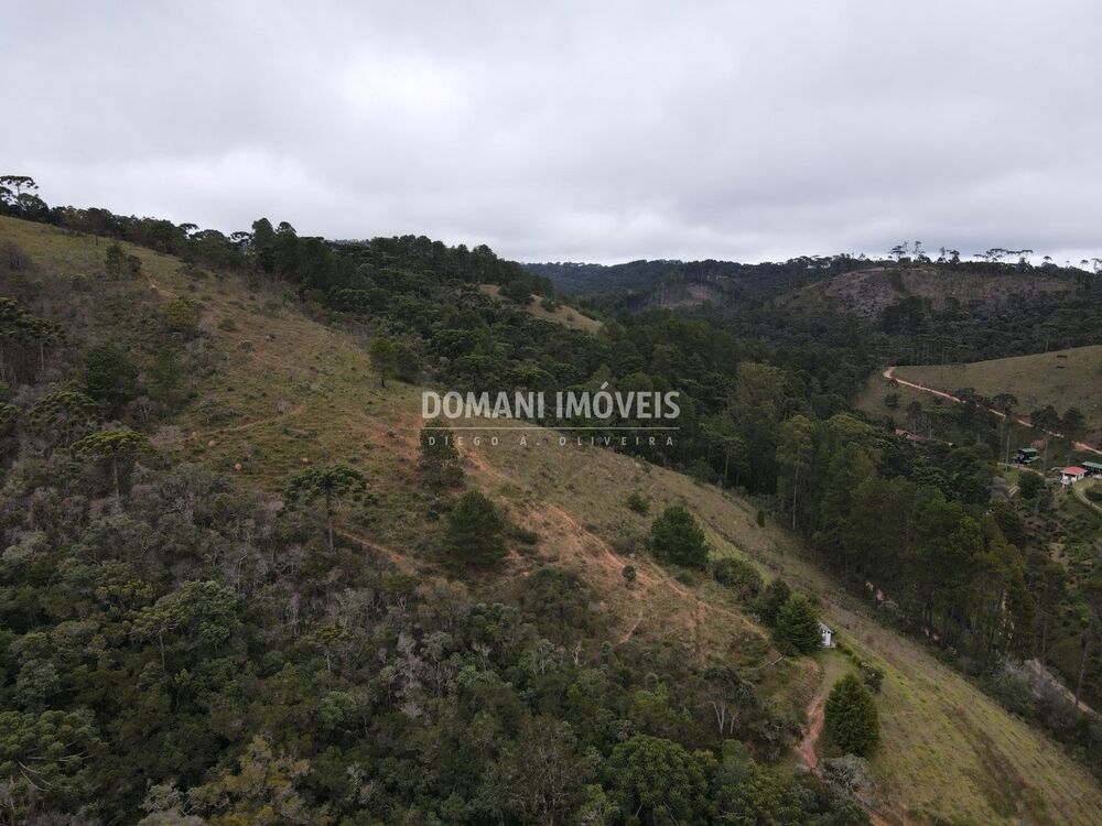 Terreno, 12 hectares - Foto 4