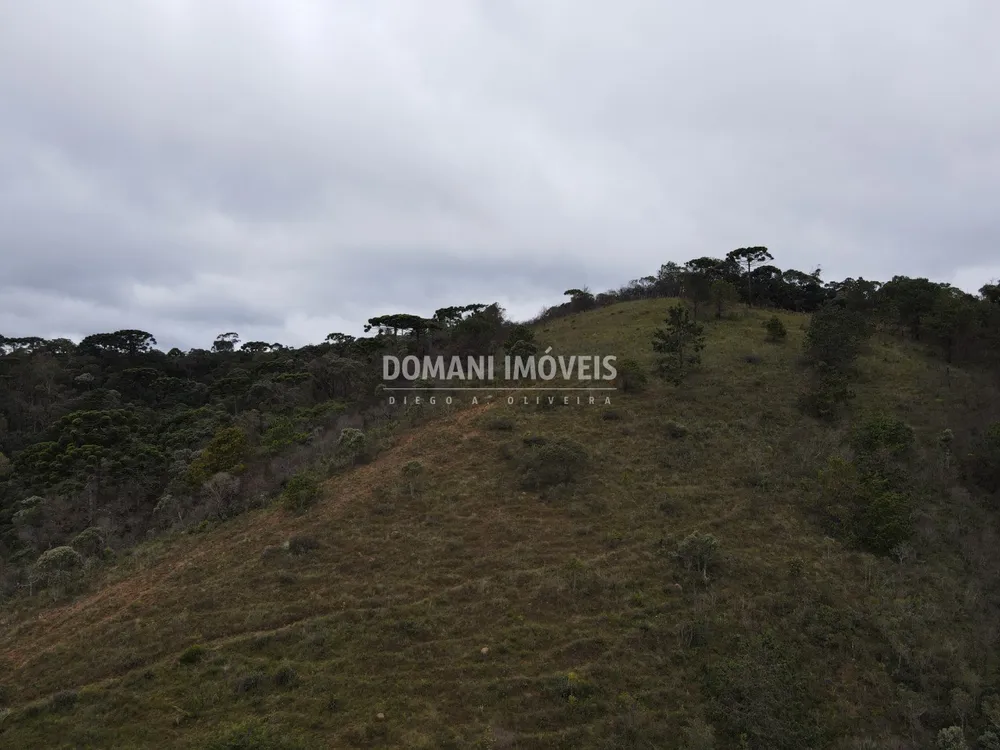 Terreno, 12 hectares - Foto 12