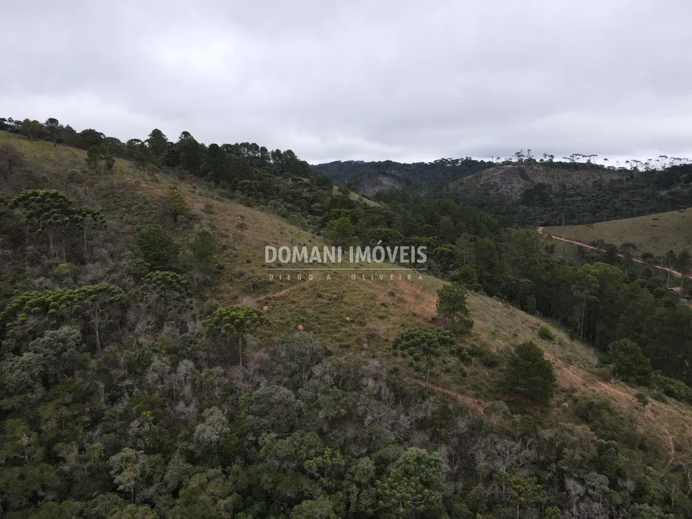 Terreno, 12 hectares - Foto 11