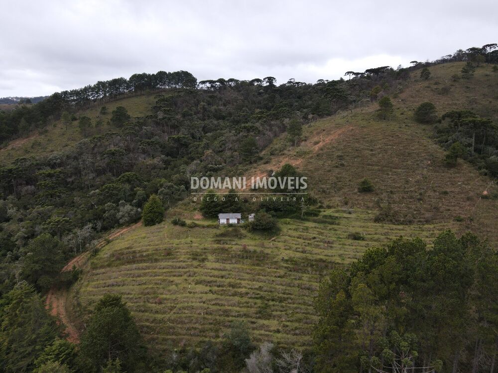 Terreno, 12 hectares - Foto 1