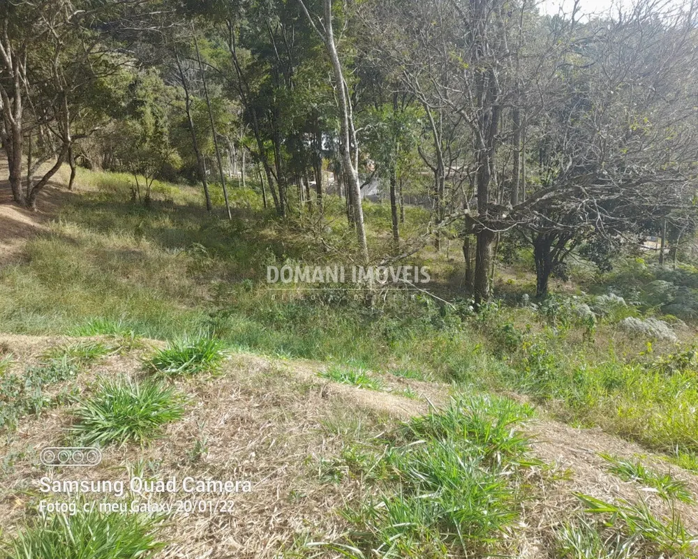 Terreno, 7300 m² - Foto 8