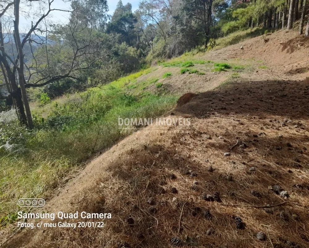Terreno, 7300 m² - Foto 5