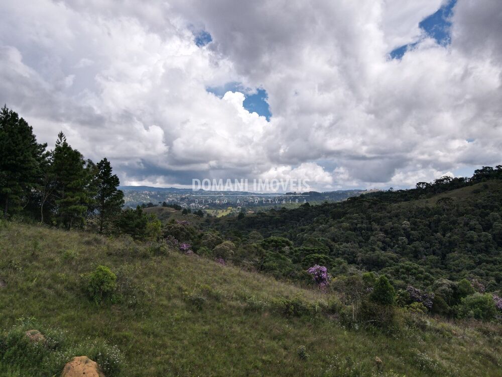 Terreno, 1340 m² - Foto 5