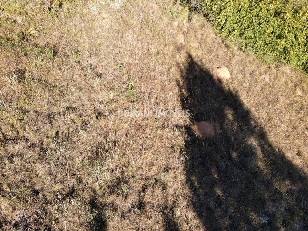 Terreno, 636 m² - Foto 2