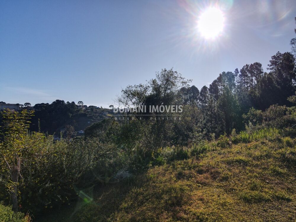 Terreno, 636 m² - Foto 3