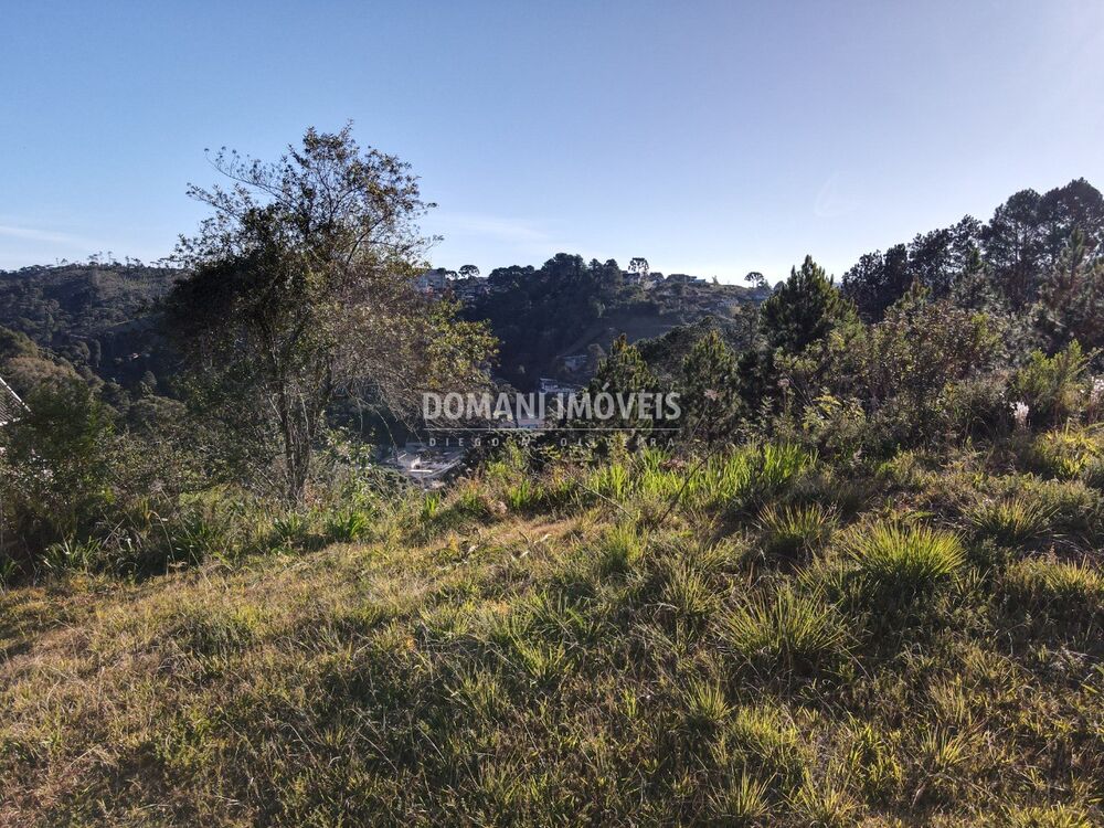 Terreno, 636 m² - Foto 4