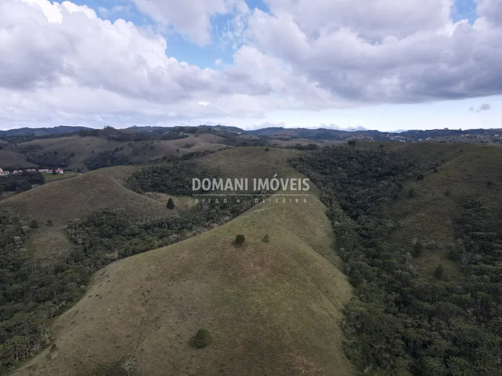 Terreno, 12 hectares - Foto 4