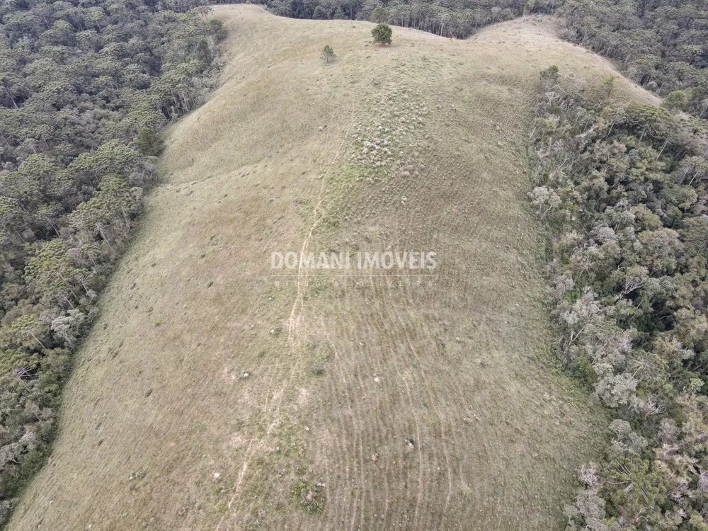 Terreno, 12 hectares - Foto 3
