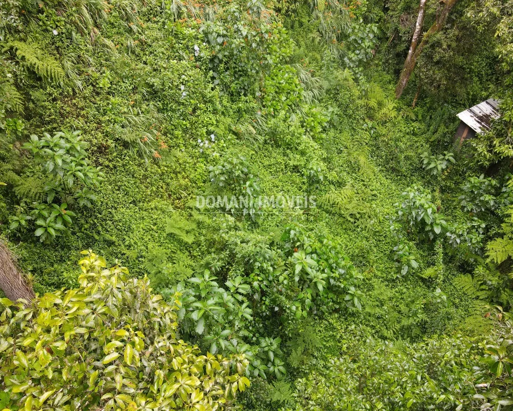 Terreno, 1300 m² - Foto 5