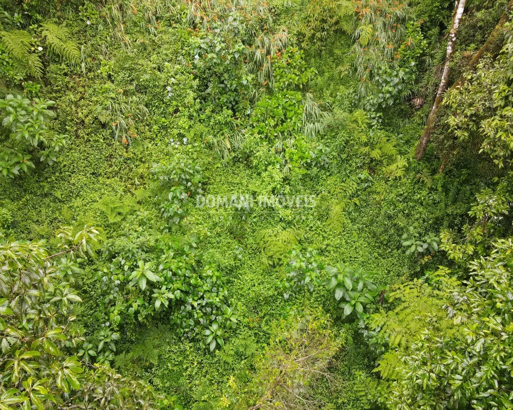 Terreno, 1300 m² - Foto 2
