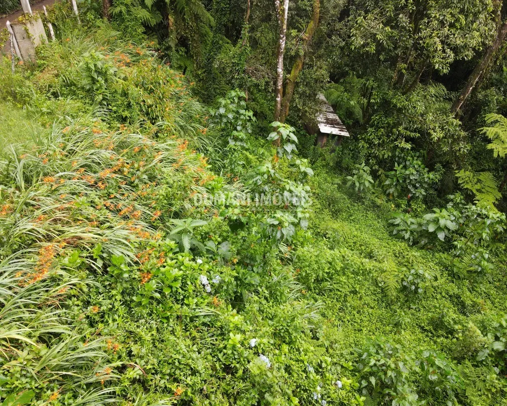Terreno, 1300 m² - Foto 3