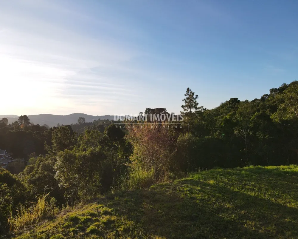 Terreno, 4300 m² - Foto 7