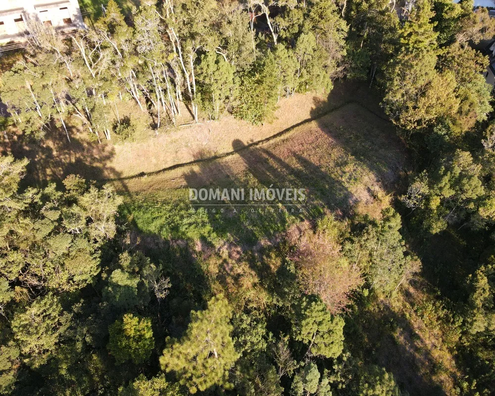Terreno, 4300 m² - Foto 6