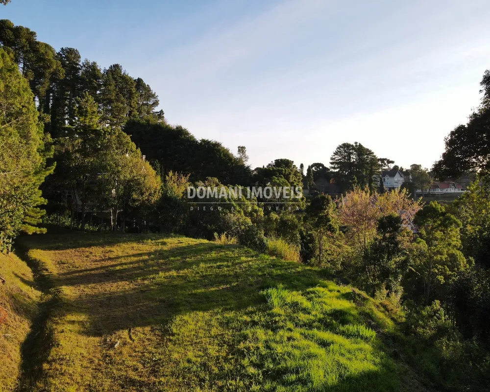 Terreno, 4300 m² - Foto 4