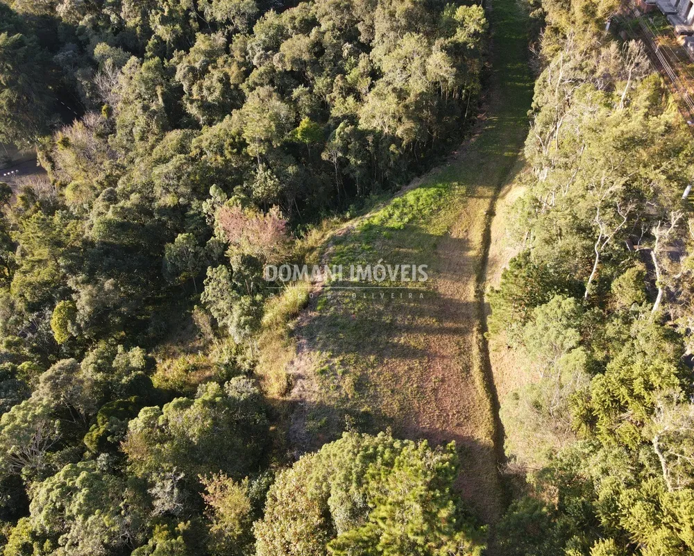 Terreno, 4300 m² - Foto 3