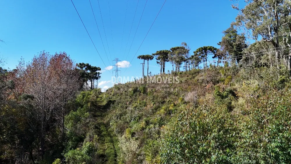 Terreno - Foto 7