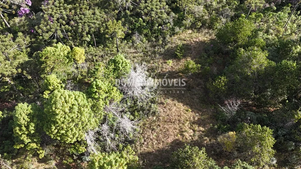 Terreno, 1185 m² - Foto 6