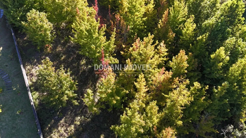 Terreno, 1360 m² - Foto 9