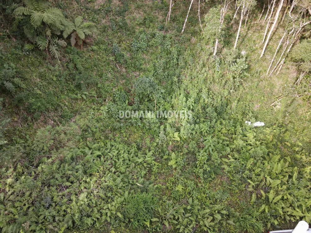 Terreno, 1655 m² - Foto 6