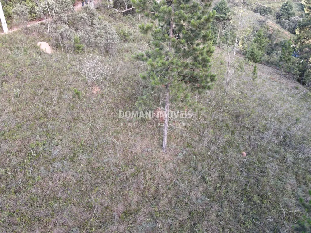 Terreno, 3590 m² - Foto 6