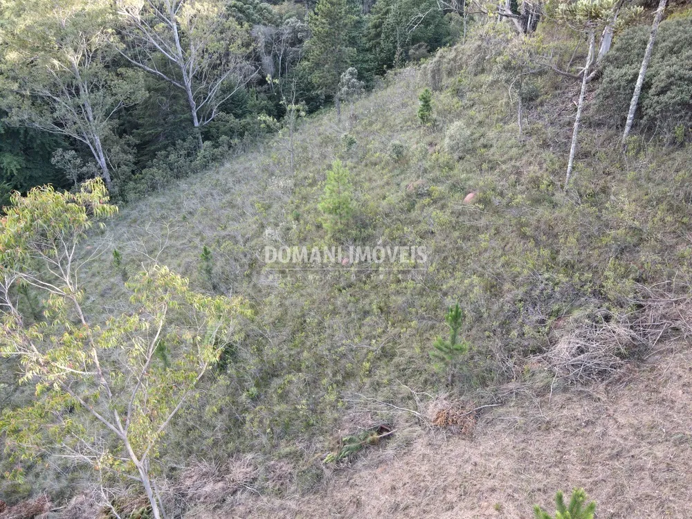 Terreno, 3590 m² - Foto 2