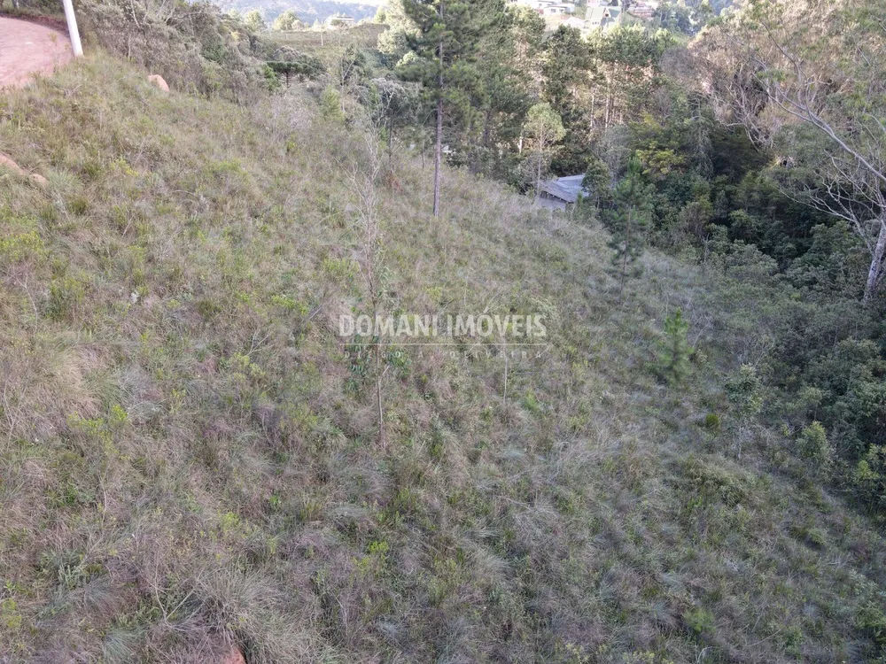 Terreno, 3590 m² - Foto 7
