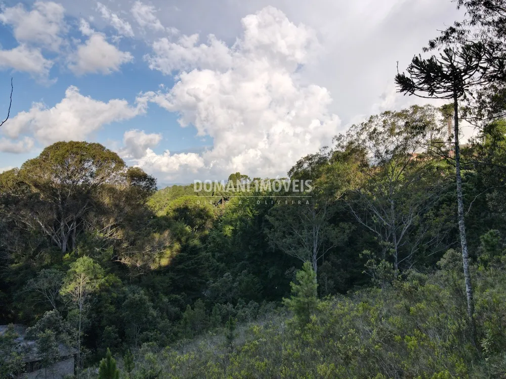 Terreno, 3590 m² - Foto 4