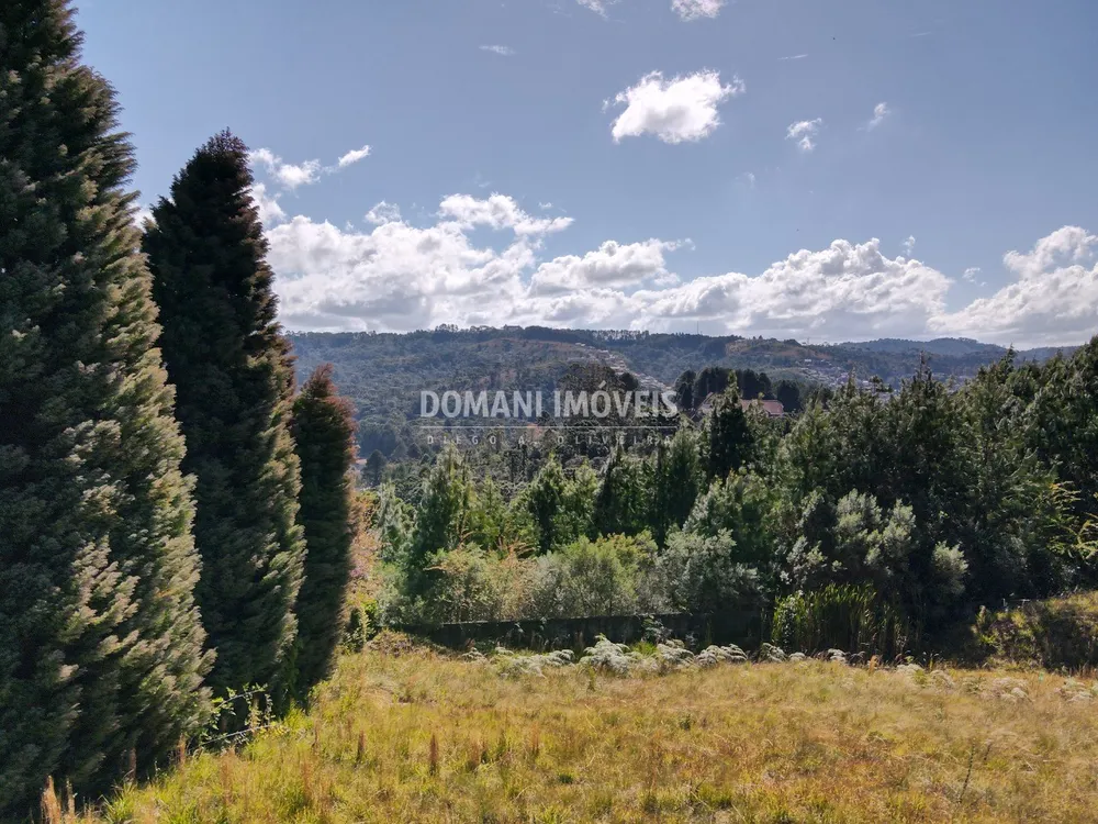 Terreno, 2060 m² - Foto 4