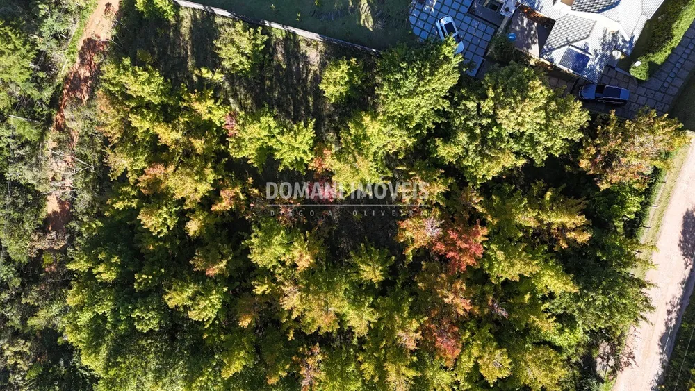 Terreno, 1360 m² - Foto 4