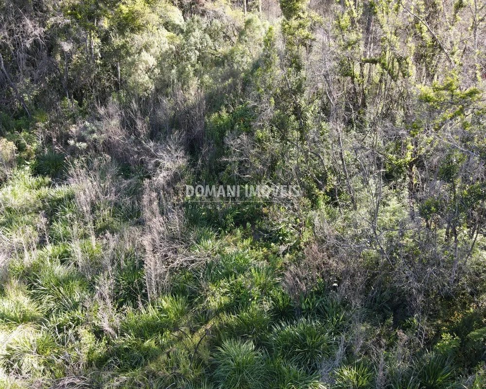 Terreno, 1630 m² - Foto 7