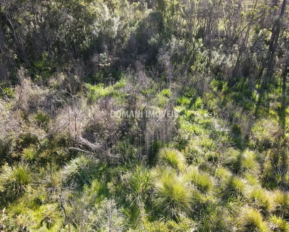Terreno, 1630 m² - Foto 3