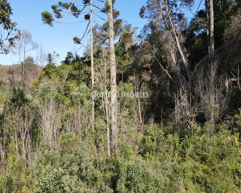 Terreno, 1630 m² - Foto 8