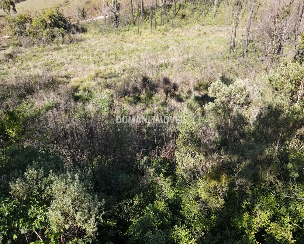 Terreno, 1630 m² - Foto 6