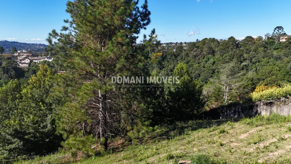 Terreno, 1252 m² - Foto 9