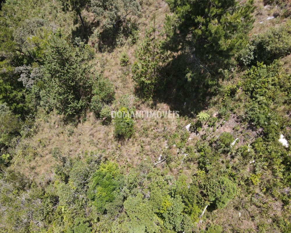 Terreno, 1120 m² - Foto 3
