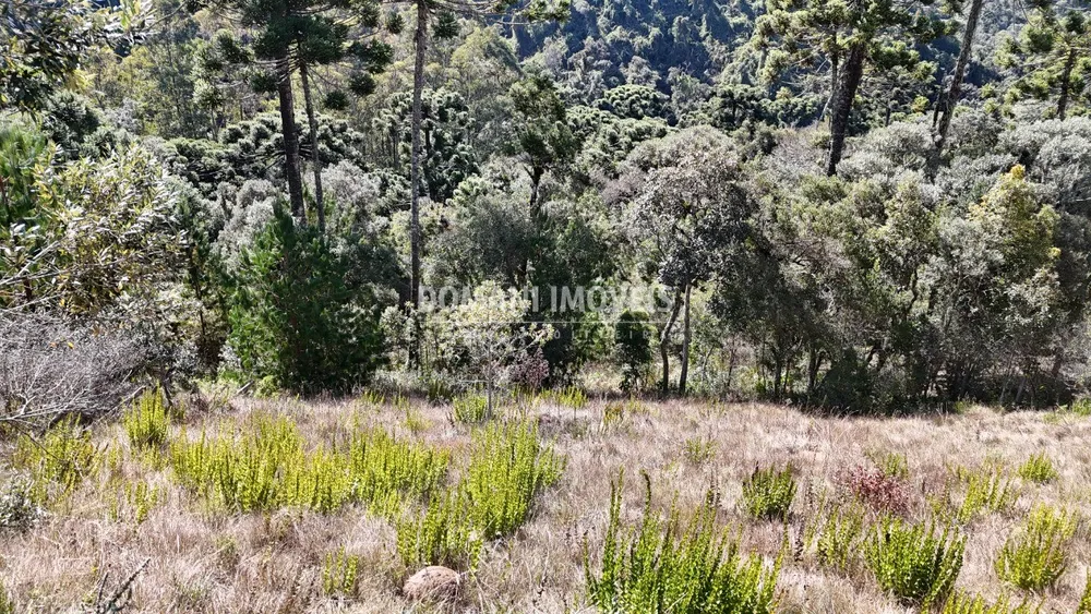 Terreno, 1385 m² - Foto 5